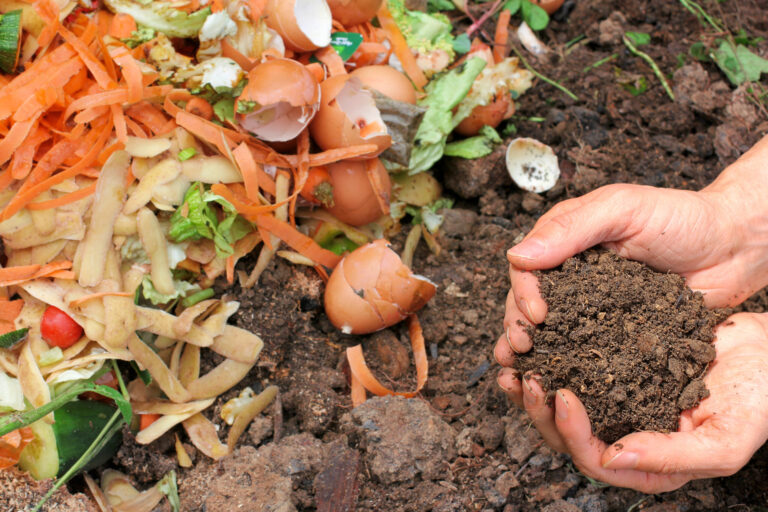 7 NYC-Based mostly Organizations Offering Compost Schooling to New Yorkers of All Ages